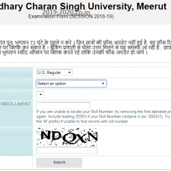 CCSU Exam Form 2018-19 UG PG - ccsuweb.in