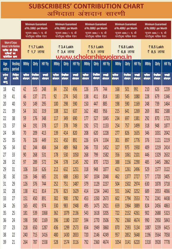 Atal Pension Yojana Chart